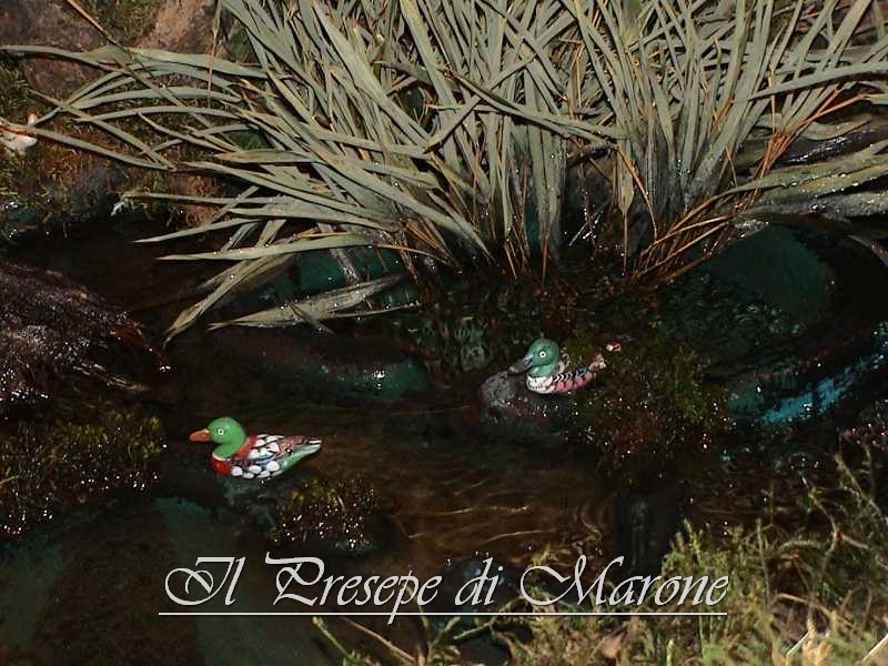 Dsc00101.jpg - Anatre che nuotano nella riproduzione delle "torbiere" del lago d'Iseo.