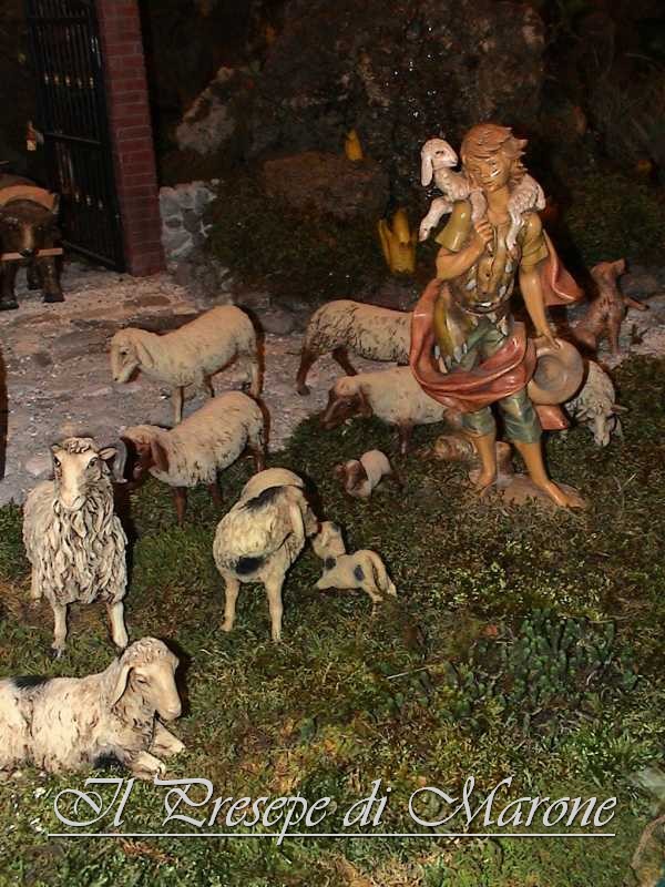 Dsc00104.jpg - Il pastore (Fontanini da 30 cm.) fa la guardia a bellissime pecore (Presepi Pigini da 30 cm.)