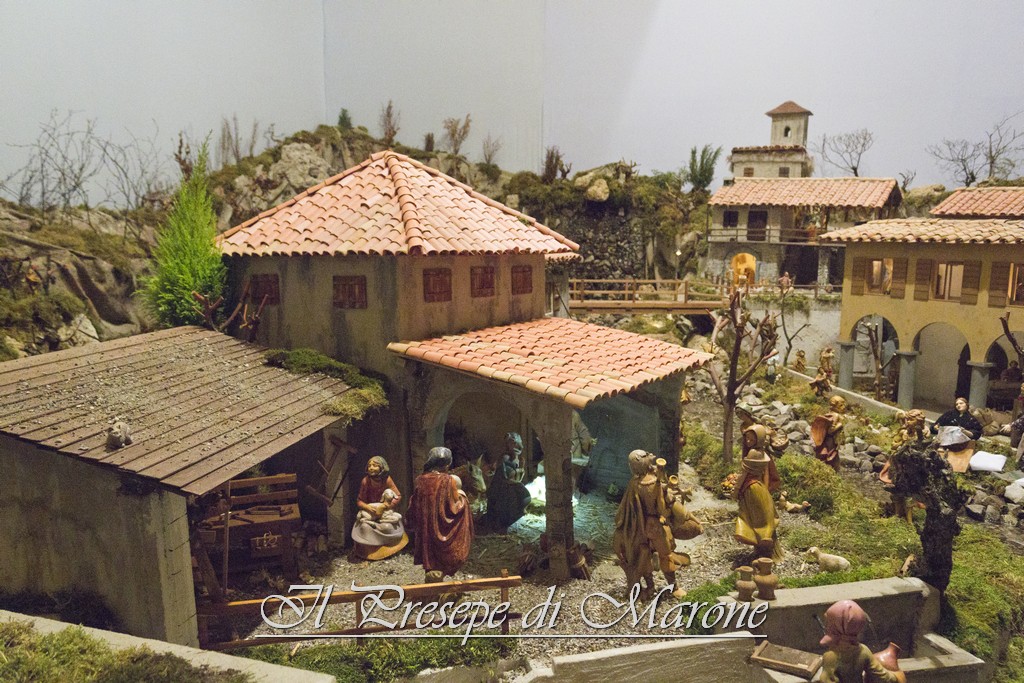 IMG_2442.jpg