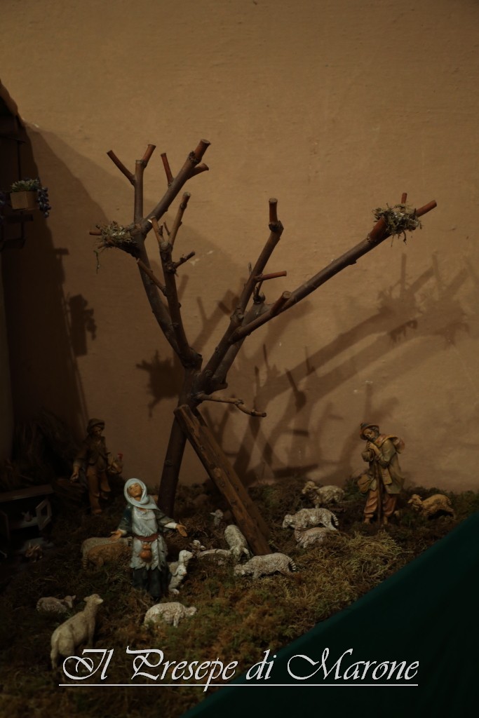 PresepeMarone2016_003.JPG