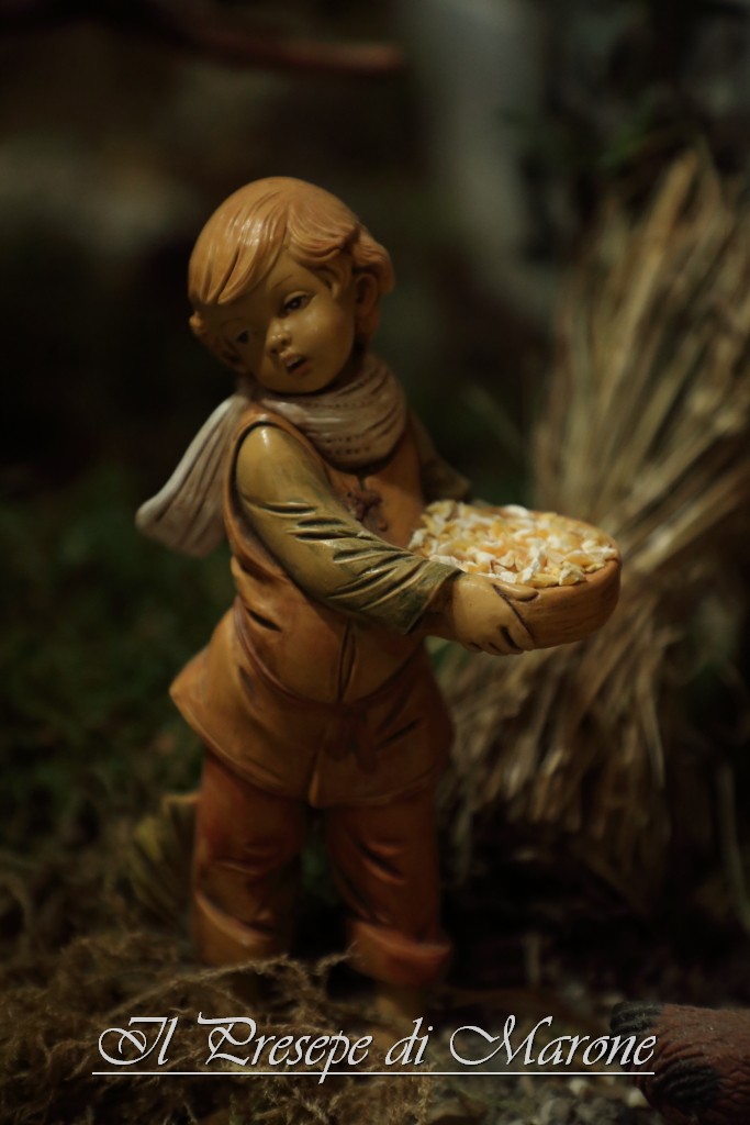 PresepeMarone2016_007.JPG
