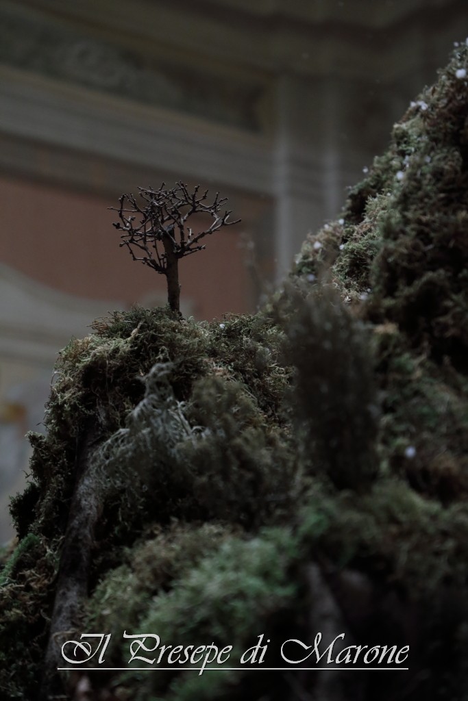 PresepeMarone2016_038.JPG