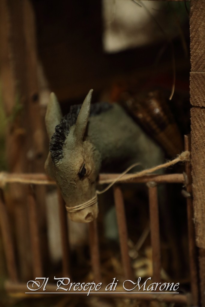 PresepeMarone2016_093.JPG