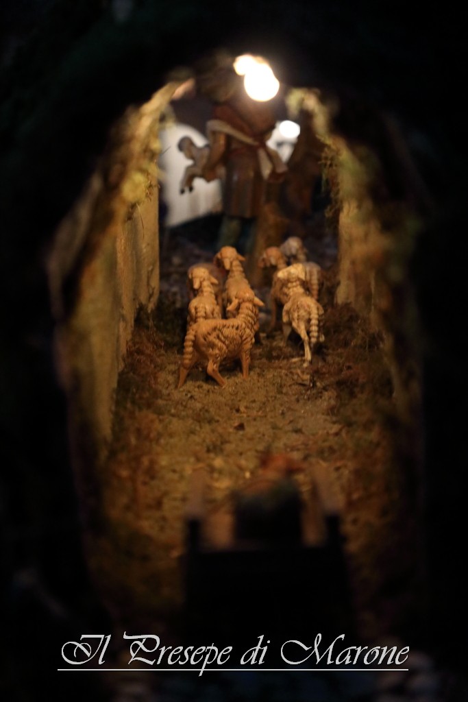 PresepeMarone2016_101.JPG