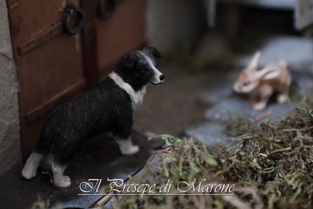 PresepeMarone2016_181.JPG