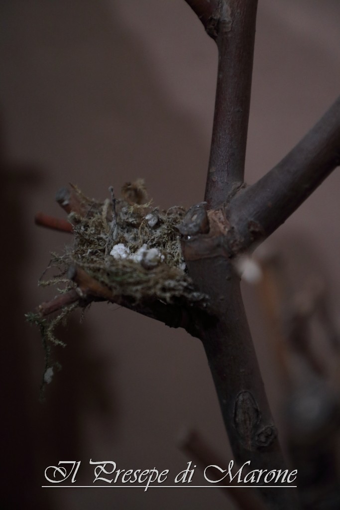PresepeMarone2016_183.JPG